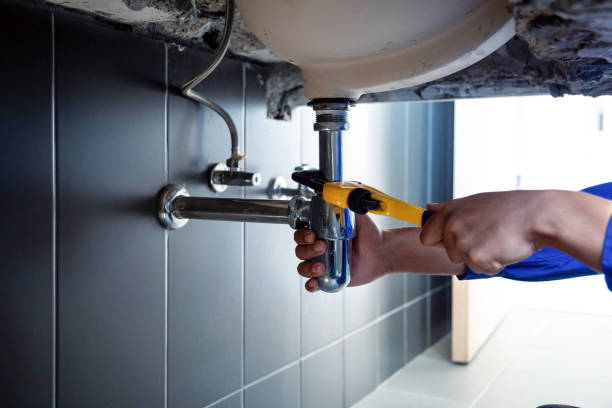 Best Commercial Plumbing Services  in Dickinson, TX